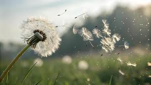 The pleasant breeze is like God's hair touching my face